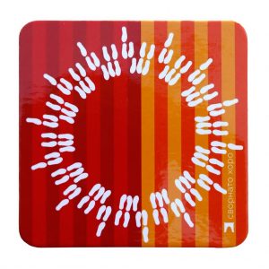 подложки за чаши с формата на Сворнато хоро