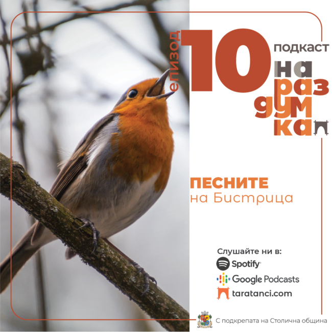 Епизод 10: Песните на Бистрица