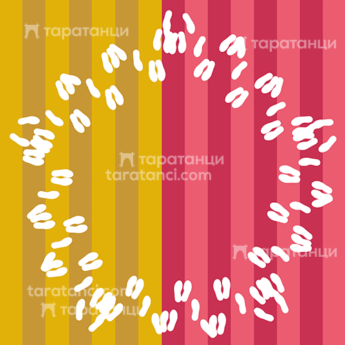 "Бръсни цървул" хоро - стъпки 500х500