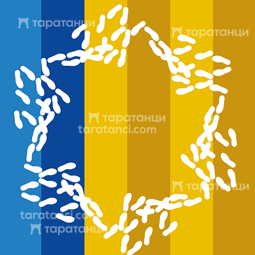 Граовско хоро - стъпки 500х500