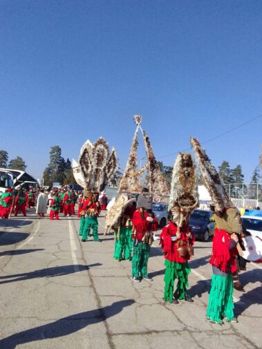 Сурвакарската група на село Дивля 13